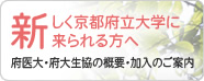 110202_newcomer_kpu.gif